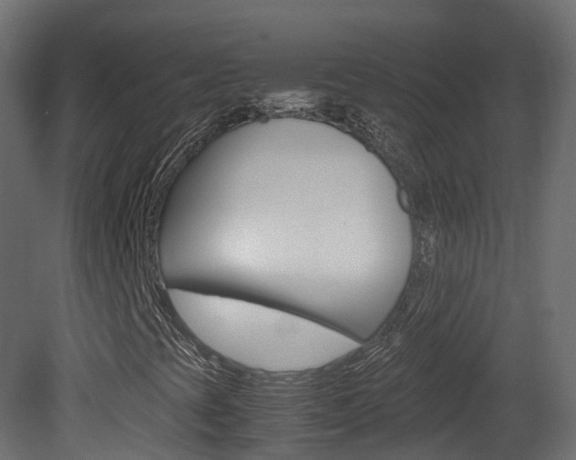 X0000081491393200701121100