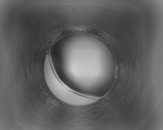 X0000081491394200701121100