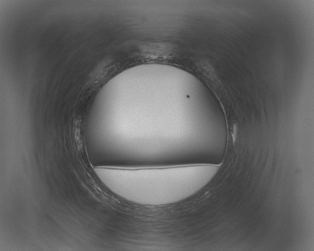 X0000081491396200701121100