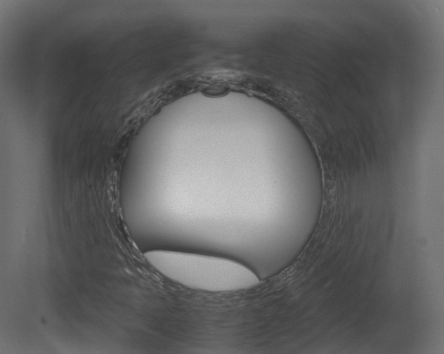 X0000081491397200701121100