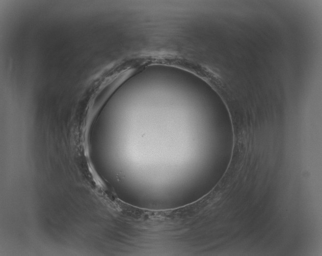 X0000081491398200701121100