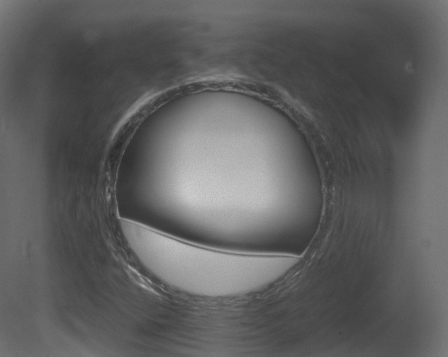 X0000081491400200701121100
