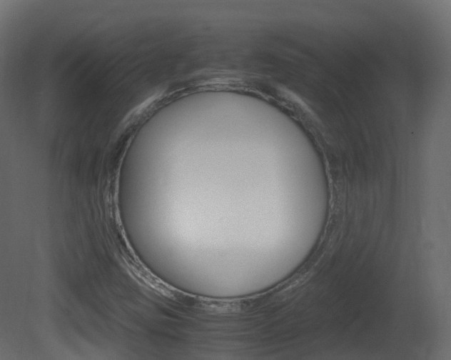 X0000081491403200701121100