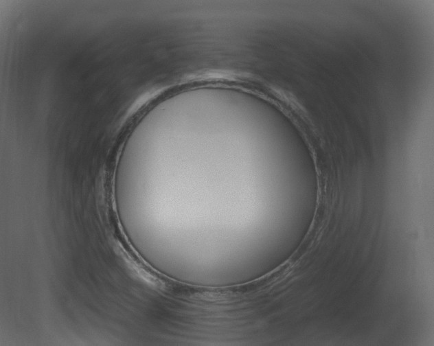 X0000081491404200701121100