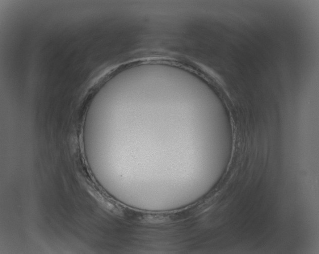 X0000081491407200701121100