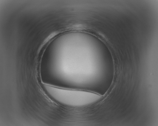 X0000081491410200701121100