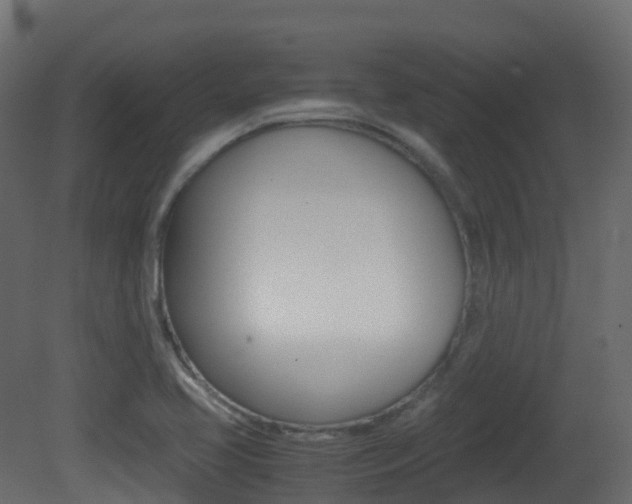 X0000081491413200701121100