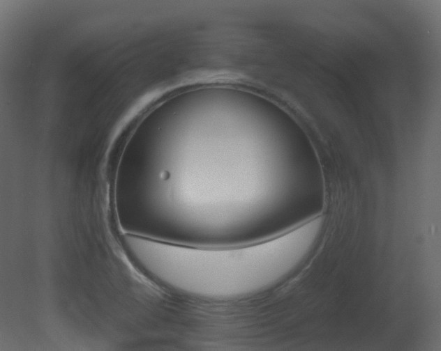 X0000081491414200701121100