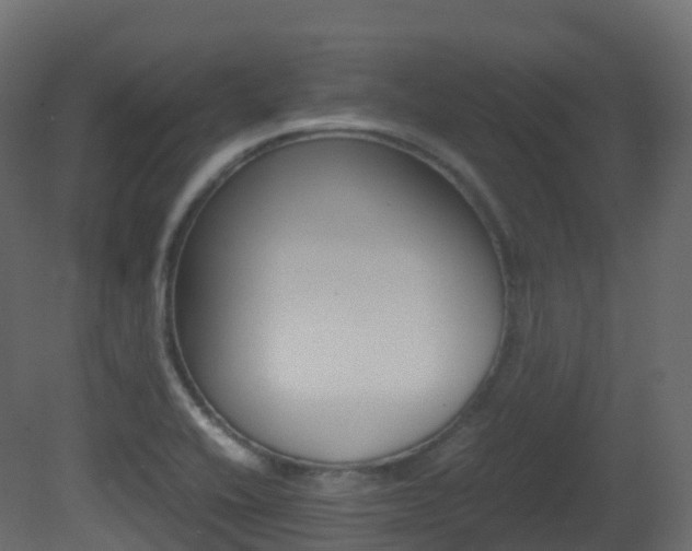 X0000081491416200701121100
