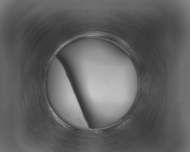 X0000081491417200701121100