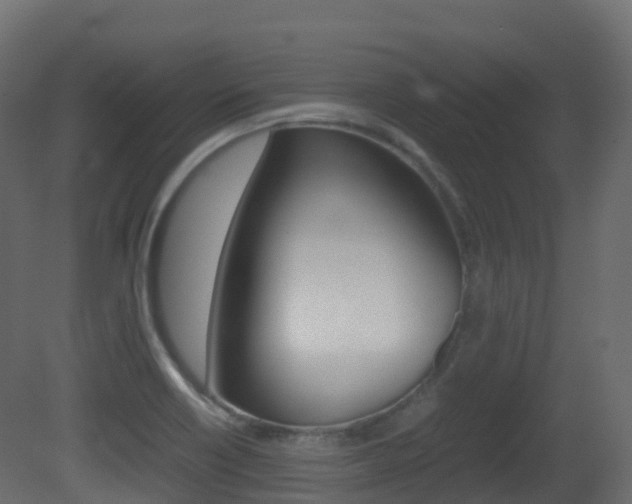X0000081491418200701121100