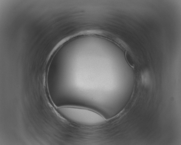 X0000081491420200701121100