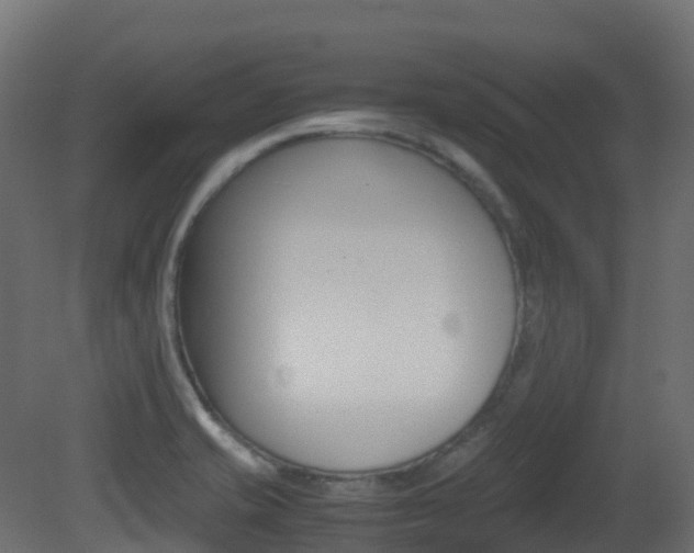 X0000081491421200701121100