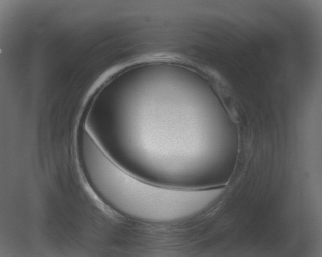 X0000081491422200701121100
