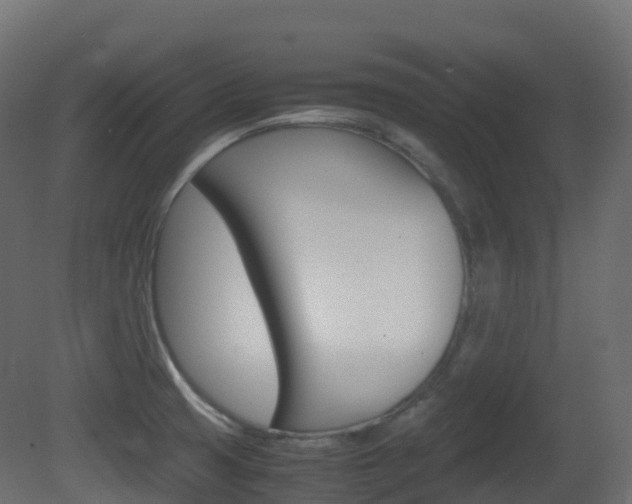 X0000081491425200701121100