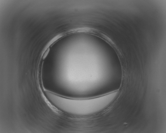 X0000081491426200701121100