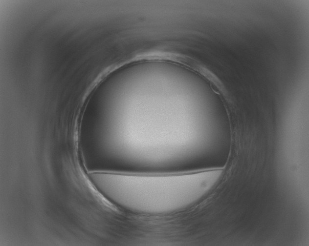 X0000081491428200701121100