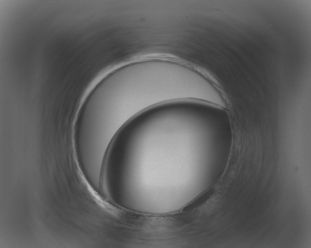 X0000081491430200701121100