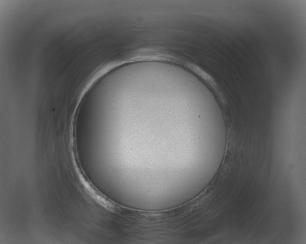 X0000081491431200701121100