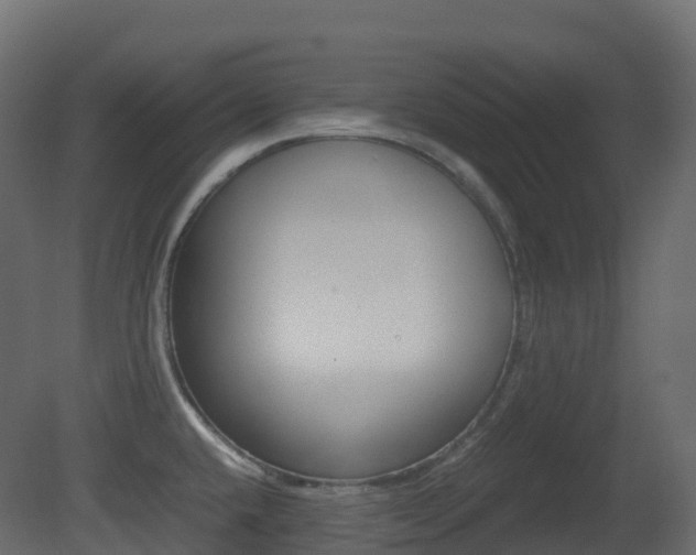 X0000081491432200701121100