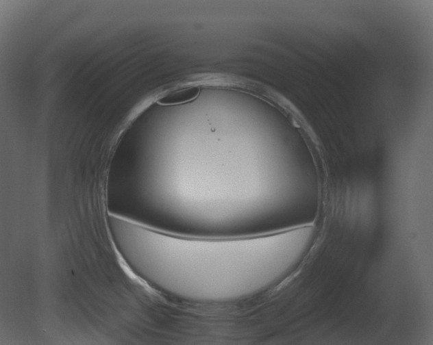 X0000081491433200701121100