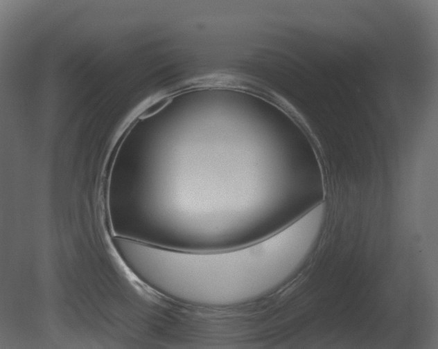 X0000081491434200701121100