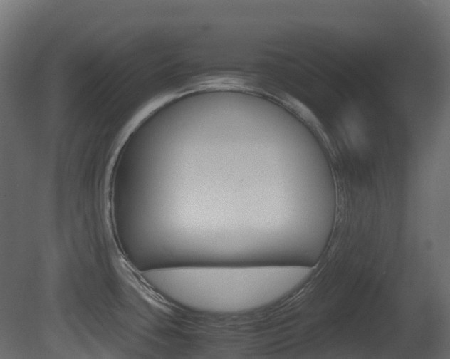X0000081491435200701121100