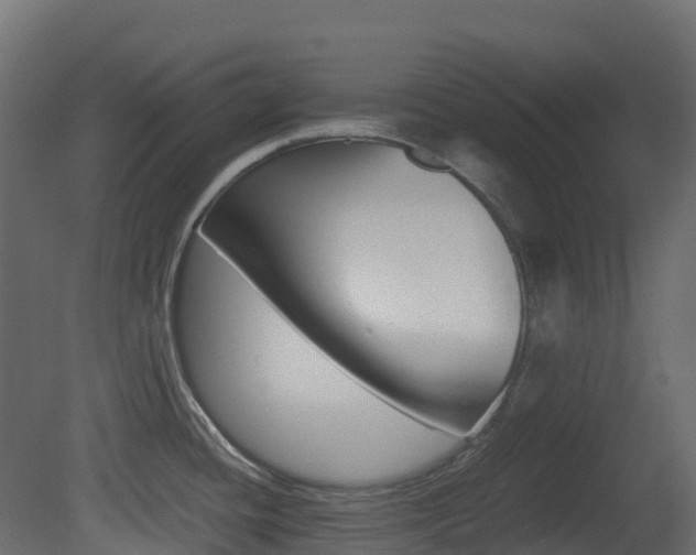 X0000081491436200701121100