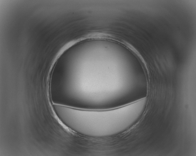 X0000081491437200701121100