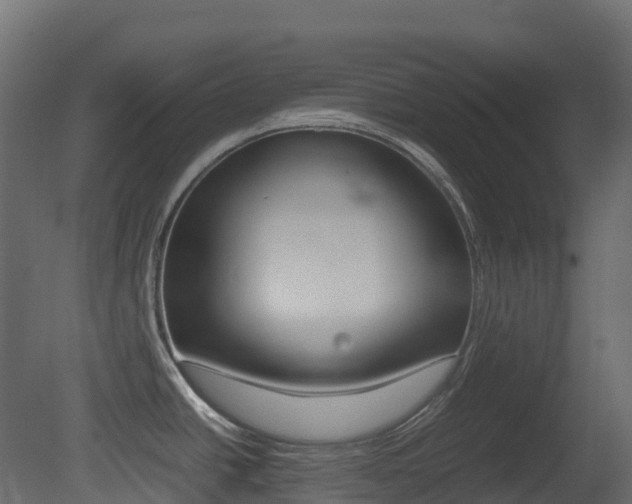 X0000081491438200701121100
