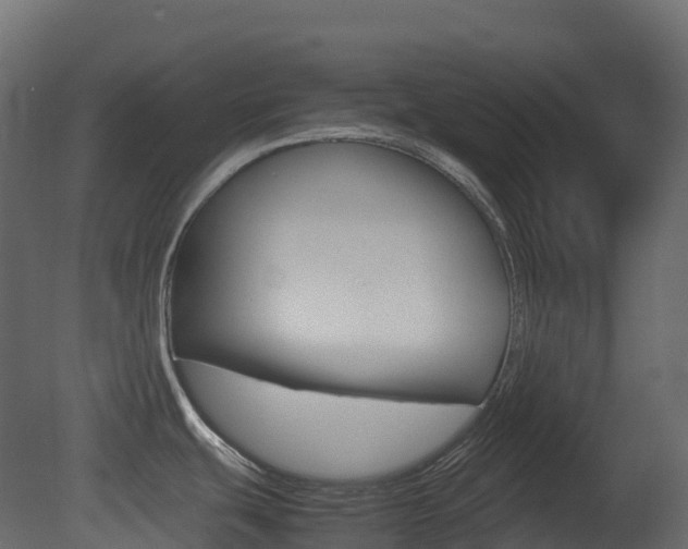 X0000081491439200701121100