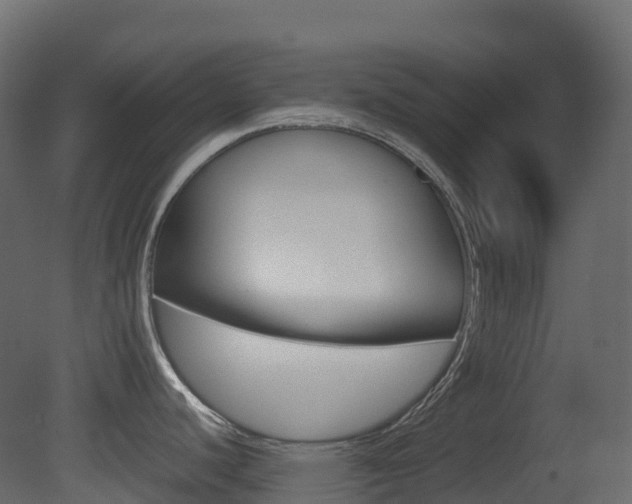 X0000081491440200701121100