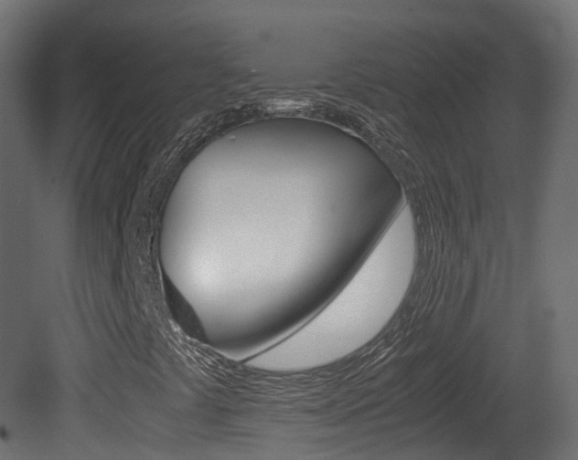 X0000081491441200701121100
