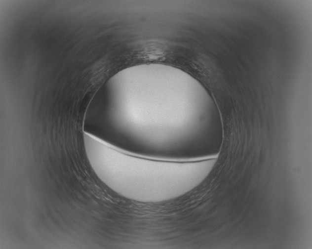 X0000081491442200701121100