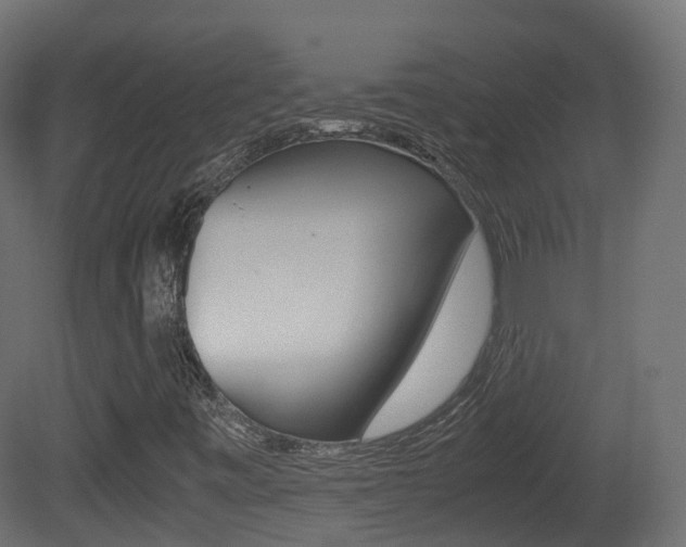 X0000081491443200701121100