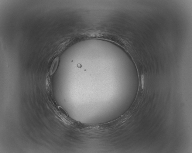 X0000081491444200701121100