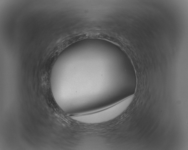 X0000081491445200701121059