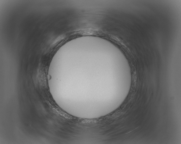X0000081491446200701121059