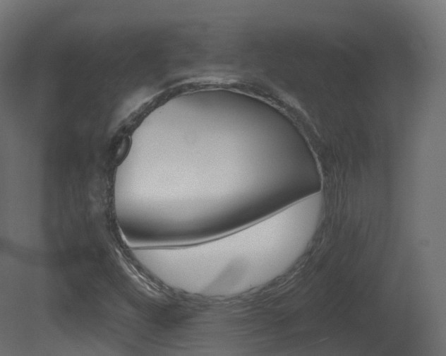 X0000081491448200701121059