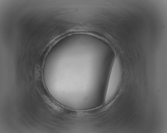 X0000081491449200701121059