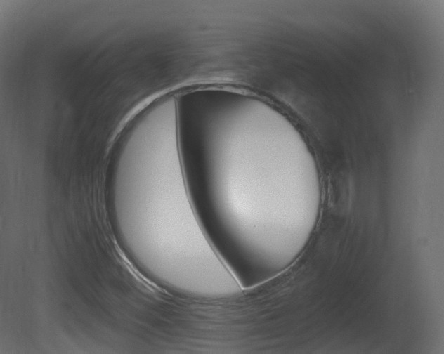 X0000081491452200701121059