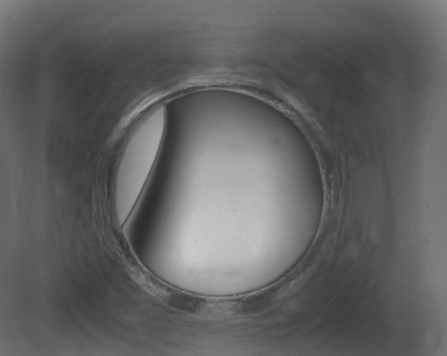 X0000081491453200701121059