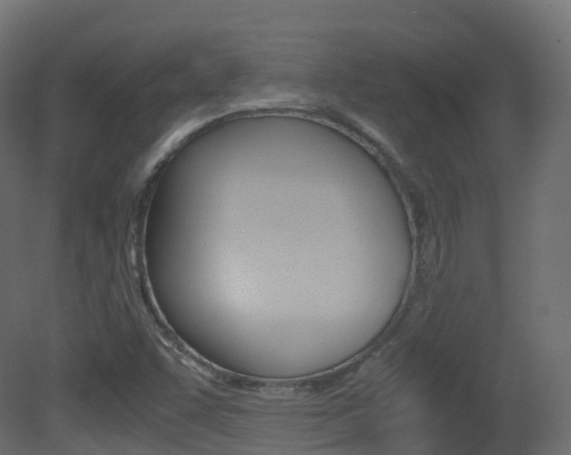 X0000081491455200701121059