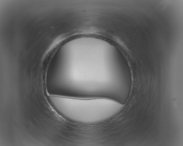 X0000081491456200701121059