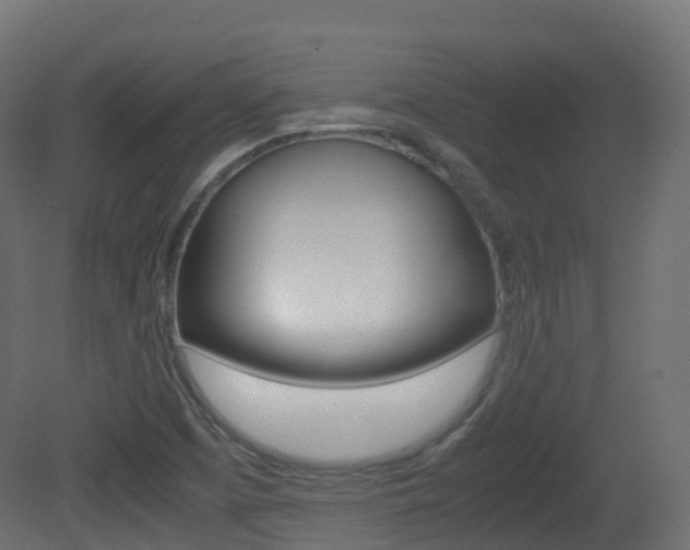 X0000081491457200701121059