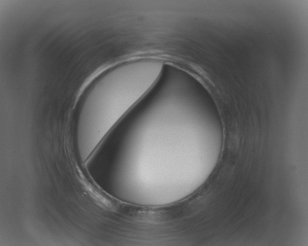 X0000081491458200701121059