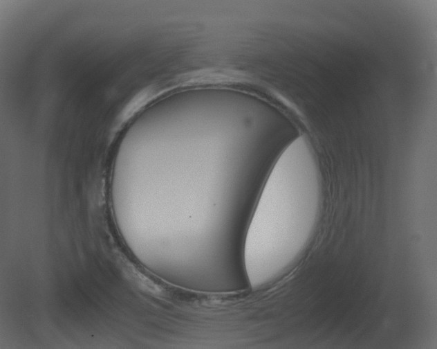 X0000081491459200701121059