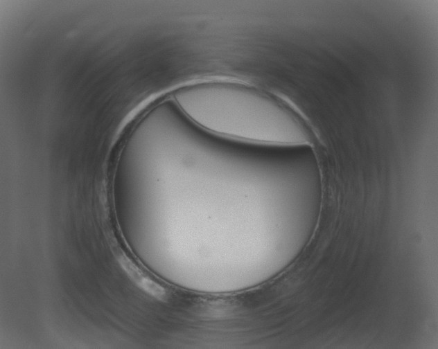 X0000081491460200701121059