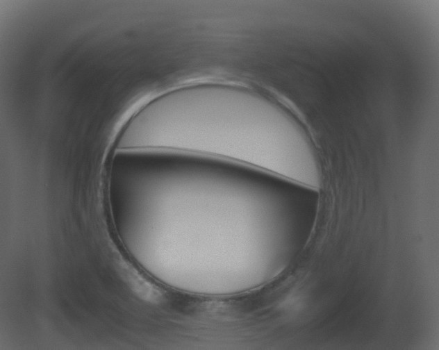 X0000081491463200701121059