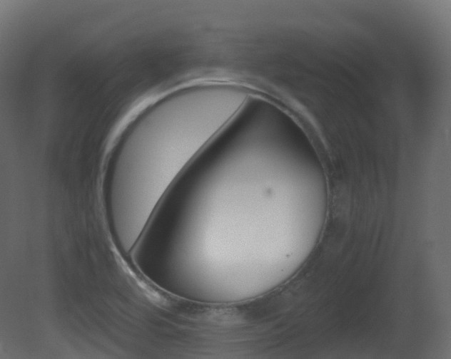 X0000081491464200701121059